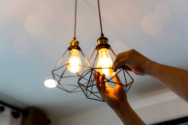 Best Residential Electrician Services  in Hoffman Estates, IL